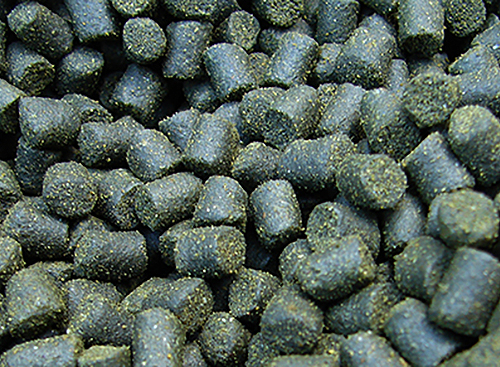 LakeBeauregard_Bait